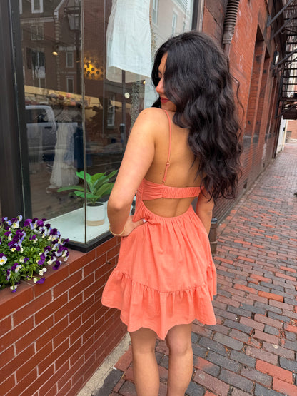 AUGUST MINI 💚🧡