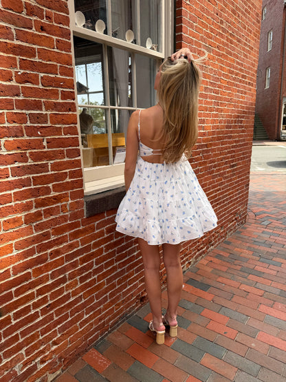 ELLA MINI DRESS